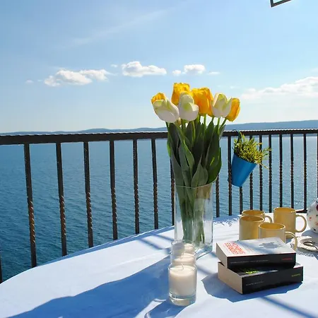 Mime Apartament Mimice